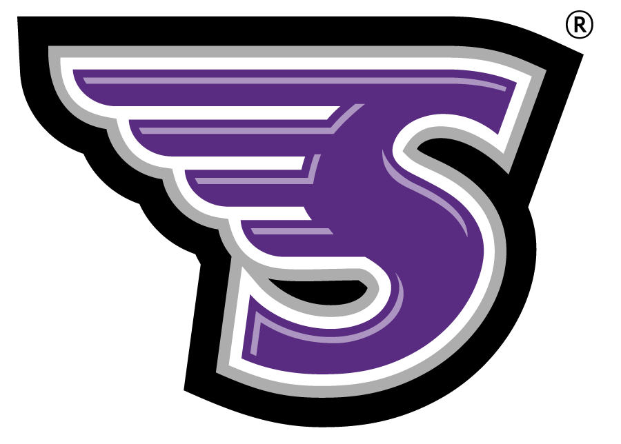 Stonehill Skyhawks iron ons